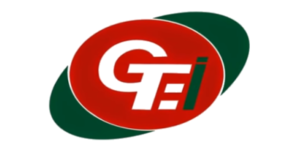 GTEI Group - Financial Services